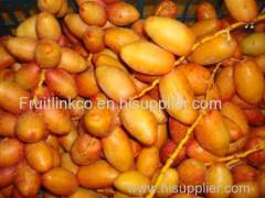 Fresh egyptian samani dates