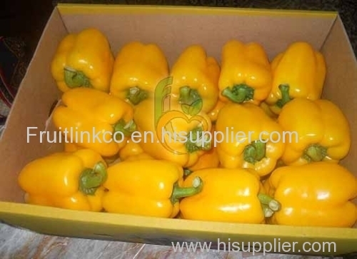 Egyptian capsicum by fruit link