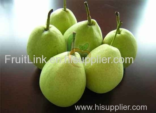 Egyptian Pear by fruit link