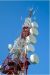 microwave communication steel tower