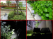 New 36LED Solar powered Landscape light outdoor flood light for garden decoration light sensor+White/Warm White/Green