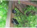 White/Warm White/Green Outdoor Waterproof 54LEDs Solar Led Flood Lights Solar LED Spotlights Soar Garden Lamps