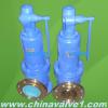 DIN standard spring loaded pressure safety valve