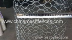 electro-Galvanized Hexagonal Chicken Wire Mesh