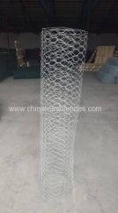 electro-Galvanized Hexagonal Chicken Wire Mesh