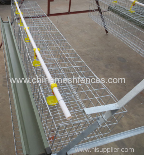 Galvanized 4 Tiers Chicken cage system