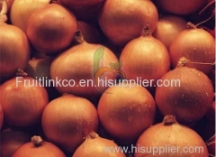 Egyptian yellow onion by fruit link