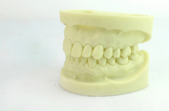 HOT 3 layer dental acrylic teeth with CE DM mould