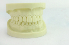 HOT 3 layer dental acrylic teeth with CE DM mould