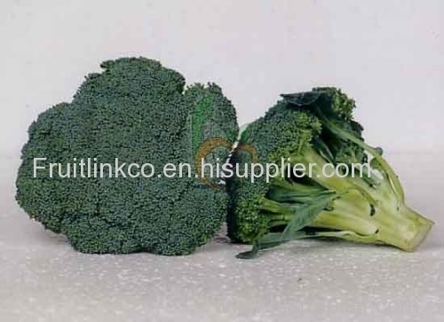 Egyptian fresh broccoli by fruit link