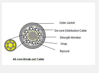 48core Break-out Fiber Optic CableⅡ