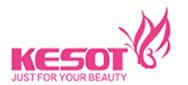 Kesot Electronic Equipment Co.,Ltd.