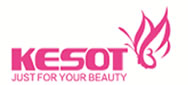 Kesot Electronic Equipment Co.,Ltd.