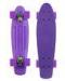 22*6 inches Penny Plastic Skateboard Outdoor Sports Goods