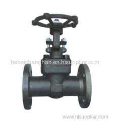 Forging Steel Gate Valve