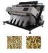Nut / Bean Sorting Machine , CCD Colour Sorter 0.025m Recognition Accuracy