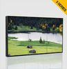 High Definition Samsung Panel LCD Video Wall , 10 bit PIP LCD Advertising Display