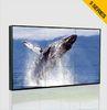 LG Industrial Panel Super Bezel Narrow Bezel Video Wall 47 Inch 800cd/m2