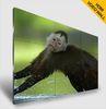 Picture In Picture 10 Bit 47" 4.9mm LCD HDMI Video Wall 1920*1080 Resolution