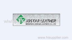 Wenzhou Jostar Leather Co.,Ltd