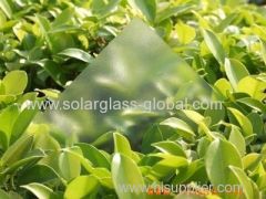 Solar ultra thin 3.2mm tempered solar glass low-iron solar glass