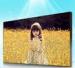 DVI Input LCD Video Wall 46 Inch UHD Video TV , Samsung 3.5mm TV Wall