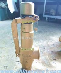 Copper Spring loaded low lift type safety valve