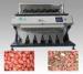 Calaite CCD Color Sorter , Peanut Color Sorter With Self Checking System