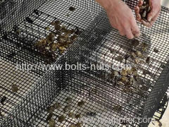 becy Oyster mesh cage