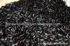 Black Rice P.E./Black Rice Extract/Black Rice Anthocyanidin 5%~25%