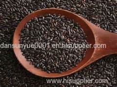 Black Rice P.E./Black Rice Extract/Black Rice Anthocyanidin 5%~25%
