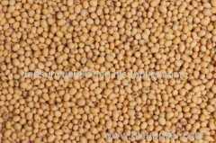 organic red sorghum Fd sorghum on sale