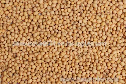 organic red sorghum Fd sorghum on sale