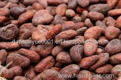 Pure Natural cocoa extract powder cocoa beans powder cocoa beans Cocoa Beans Organic