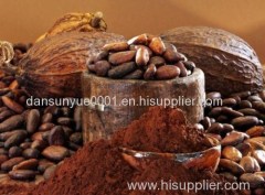 Pure Natural cocoa extract powder cocoa beans powder cocoa beans Cocoa Beans Organic