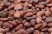 Origin Sun Dried Cocoa / Cacao Beans