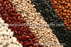 White Kidney Bean sugar beanl Broad Bean Light Speckled Kidney Beans red kidney beans