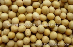 soybeans GMO and SOYBEAN without GMO
