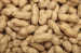 PEANUT KERNELS/BLANCHED PEANUTS ROASTED PEANUTS PUMPKIN SEEDS FRYING MACHINE FACTORY