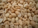 PEANUT KERNELS/BLANCHED PEANUTS ROASTED PEANUTS PUMPKIN SEEDS FRYING MACHINE FACTORY