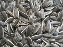 2014 Confection and bakery grade sunflower seed kernel Sunflower kernel