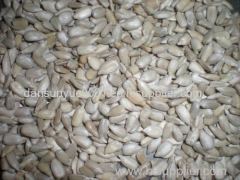 2014 Confection and bakery grade sunflower seed kernel Sunflower kernel