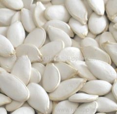 Pumpkin Seeds Kernels New Crop of 2014 AA