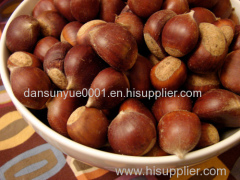 2015 New Crop of Chestnut From Factory