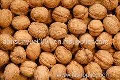 Walnuts in shell walnuts without and Walnut Kernel