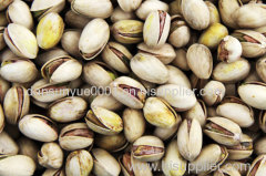 Pistachio Nuts Grade A from Germany and china