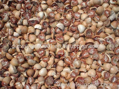 Split Betel Nut and Betel Nuts Whole Dried Small Quantity