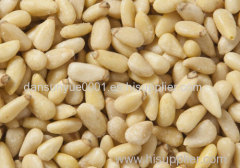 health food pine nut exporter