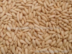 health food pine nut exporter