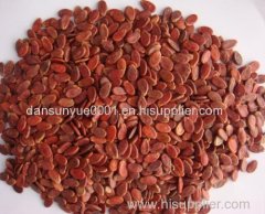 Black Melon Seeds and Red melon seeds 2014 crop